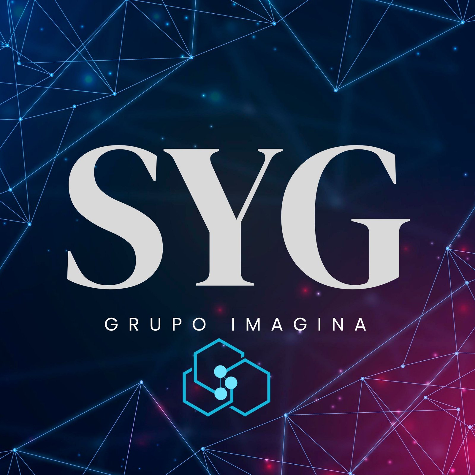 S y G Grupo Imagina